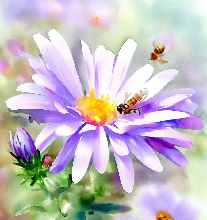 ASTER laevis (SYMPHYOTRICHUM laeve) (Smooth Aster)