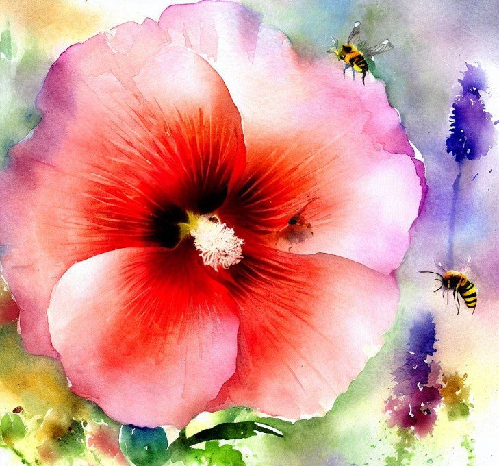 Alcea rosea (Hollyhock, Single Mixed)