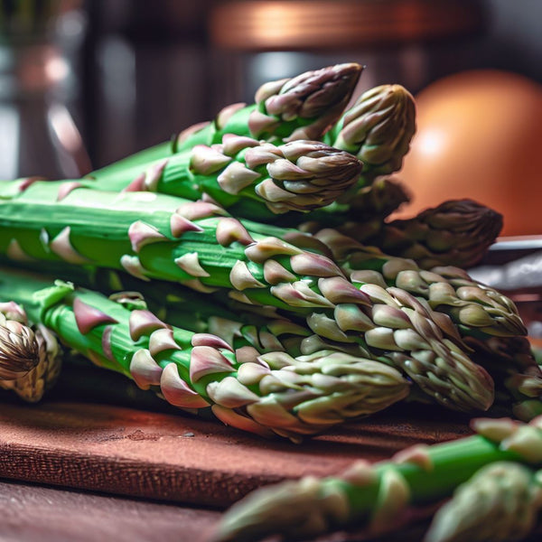 Asparagus officinalis 'Jersey Knight' Jersey Knight Asparagus) MySeedsCo