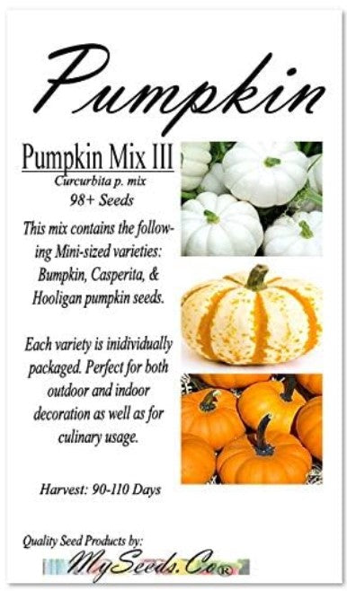 Pumpkin Mix III - Miniature Pumpkin Varieties (Bumpkin, Casperita, Hooligan)  Outdoor & Indoor Decoration