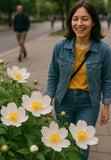 Paeonia japonica (Japanese Peony, Japanese Woodland Peony)