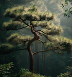 Pinus coulteri (Coulter Pine, Coulter's Pine, Big Cone Pine)