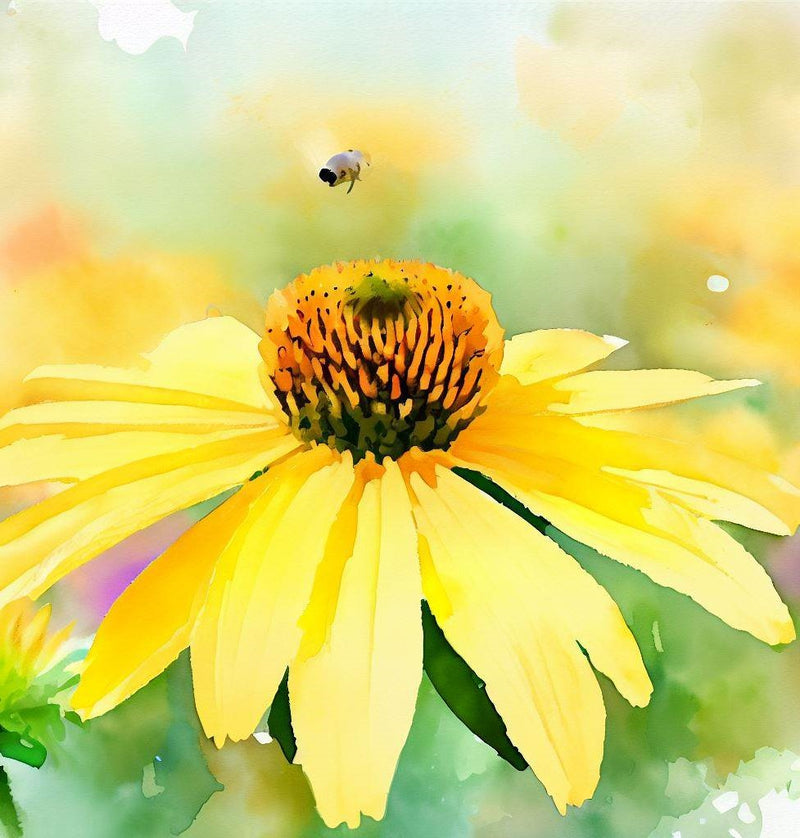 RUDBECKIA laciniata (Cutleaf Coneflower)