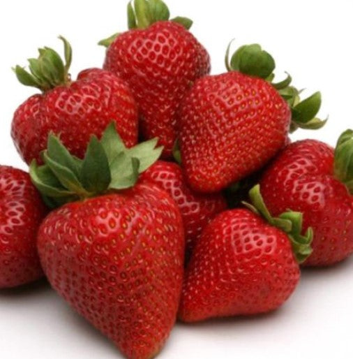 Seascape Strawberry Plants (Bare Roots) (Everbearing)  MySeedsCo