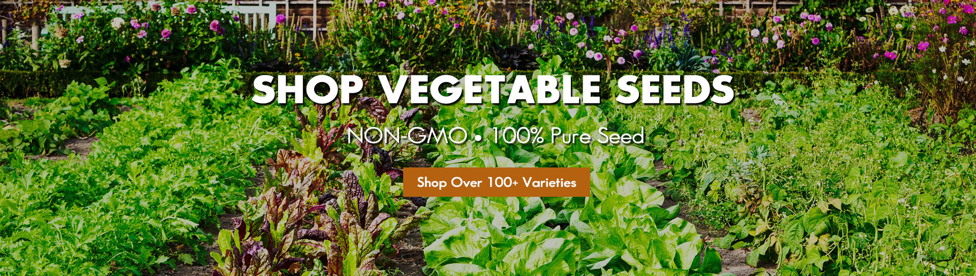 Shop vegetable herbs exotic tree flower seeds