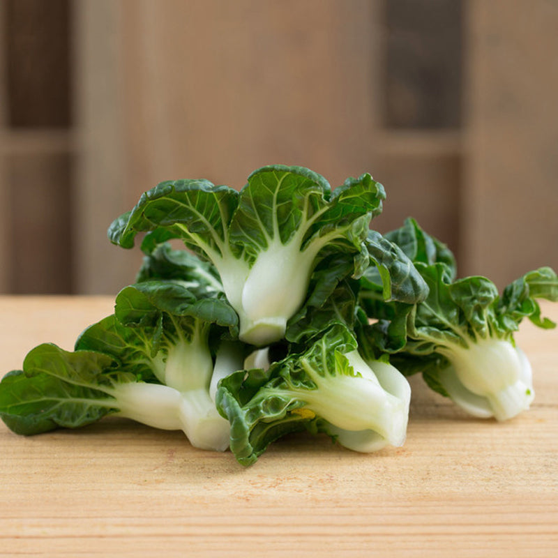 Chinese Pak Choi, Dwarf 4-6" (Brassica rapa Chinensis)