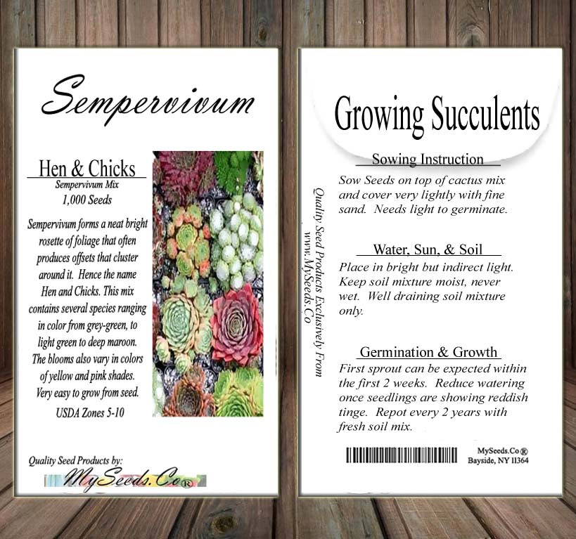 Sempervivum Hybridum  (Hen & Chicks Cactus Mixed) Succulent Seeds - 1,000 Seeds Per Pack