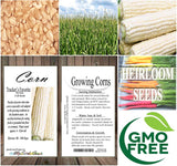 Trucker's Favorite (White Dent Corn - Heirloom Corn) (Zea mays)
