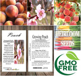 Prunus persica nemaguard (Nemaguard Peach)