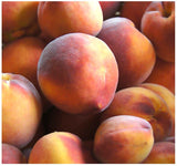 Prunus persica nemaguard (Nemaguard Peach)