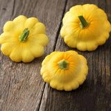 Scallop Yellow Bush Squash, Summer (Cucurbita pepo)