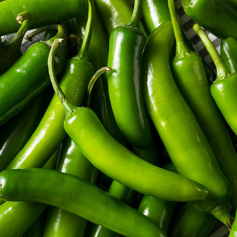 Serrano Pepper, HOT (Capsicum annuum)