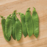 Avalanche Pea, Edible Pod (Pisum sativum)
