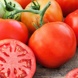 Delicious Tomato, Standard (Slicing) Tomato (Lycopersicon esculentum)