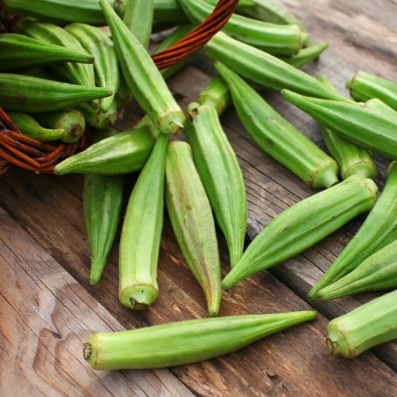 Emerald Okra (Abelmoschus esculentus)