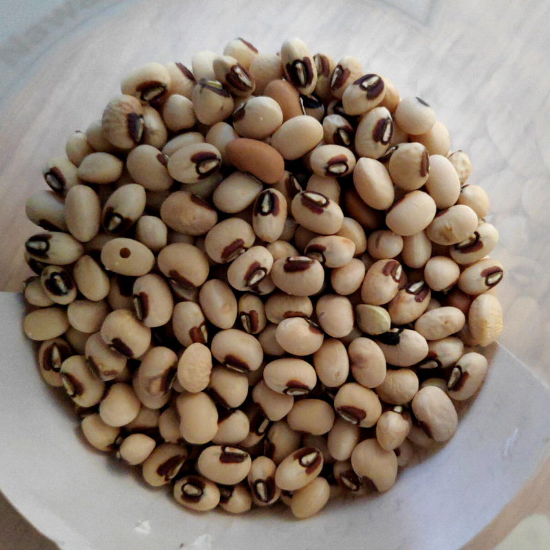 Top Pick Brown Crowder,  Cowpea (Vigna unguiculata)