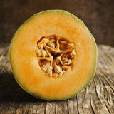 Hale's Best Jumbo Melon  (Organic) (Cucumis melo)