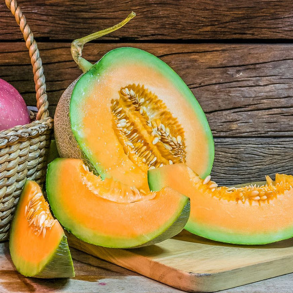 Hale's Best Jumbo Melon (Cucumis melo) – MySeedsCo