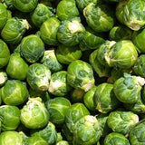 Catskill Brussel Sprouts (Brassica oleracea)