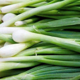 Heshiko Onion, Bunching (Allium fistulosum)