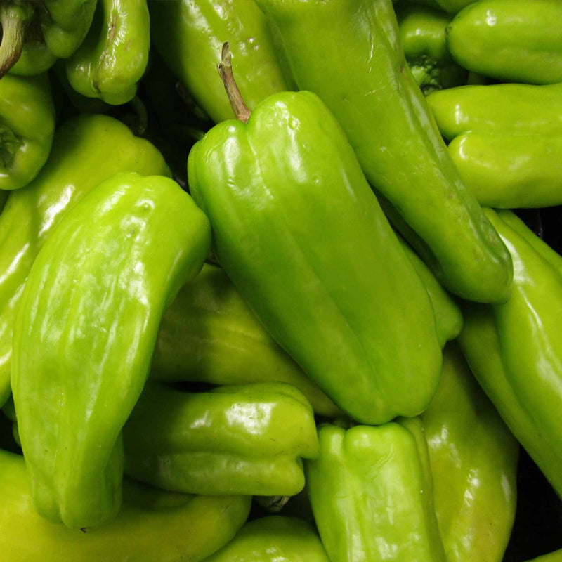 Cubanelle Pepper, SWEET (Capsicum annuum)