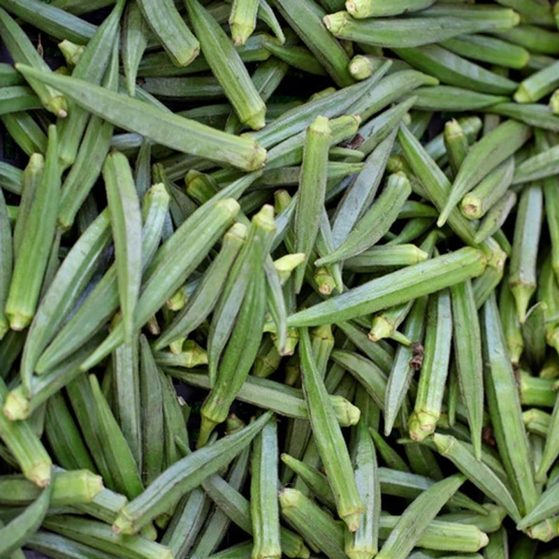 Emerald Okra (Abelmoschus esculentus)