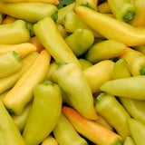 Hungarian Yellow Hot Wax Pepper, HOT (Capsicum annuum)