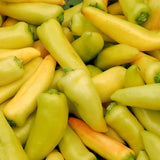 Hungarian Sweet Wax Pepper, SWEET (Capsicum annuum)