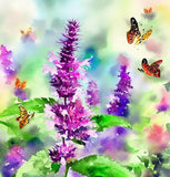 AGASTACHE urticifolia (Nettleleaf Horsemint)