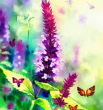 AGASTACHE urticifolia Nettleleaf Horsemint