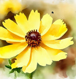 COREOPSIS leavenworthii (Leavenworth's Tickseed)