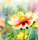 COREOPSIS tinctoria (Plains Coreopsis)