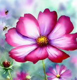 COSMOS bipinnatus 'Radiance' (Cosmos, Deep Rose w/Crimson Eye)