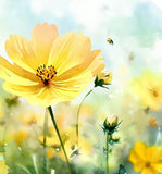 COSMOS bipinnatus, Yellow (Cosmos, Tall Yellow)