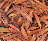 Camptotheca acuminata (Camptotheca, Cancer Tree, Happy Tree, Tree Of Life)