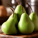 Pyrus communis (European Pear, Domestic Pear, Common Pear)