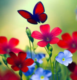 LINUM grandiflorum rubrum (Scarlet Flax)