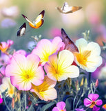 OENOTHERA speciosa (Showy Evening Primrose)