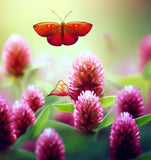 TRIFOLIUM incarnatum (Crimson Clover) - COATED