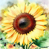 HELIANTHUS Annuus Grey Stripe (Sunflower, Grey Stripe)