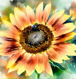 HELIANTHUS Annuus 'Autumn Beauty' (Sunflower - Autumn Beauty)