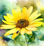 Helianthus maximiliani (Maximilian Sunflower)