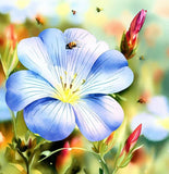 LINUM lewisii (Lewis Flax)