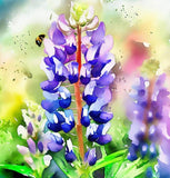 LUPINUS perennis (Perennial Lupine)