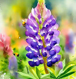 LUPINUS succulentus (Arroyo Lupine)