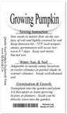 Pumpkin Mix III - Miniature Pumpkin Varieties (Bumpkin, Casperita, Hooligan)  Outdoor & Indoor Decoration