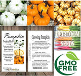 Pumpkin Mix III - Miniature Pumpkin Varieties (Bumpkin, Casperita, Hooligan)  Outdoor & Indoor Decoration