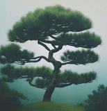 Pinus echinata (Shortleaf Pine)