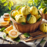 Psidium guajava (Guava, Lemon Guava, Yellow Guava)