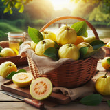 Psidium guajava (Guava, Lemon Guava, Yellow Guava)